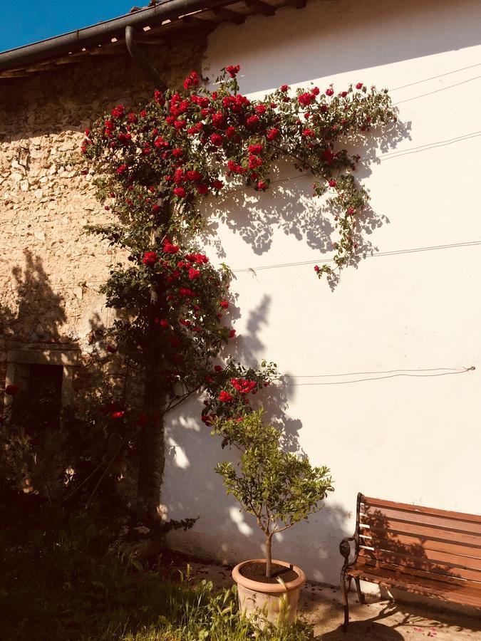 Relais Villa Gozzi B&B Arcugnano Exterior foto